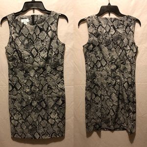Gray & Black snakeskin Sheath dress
